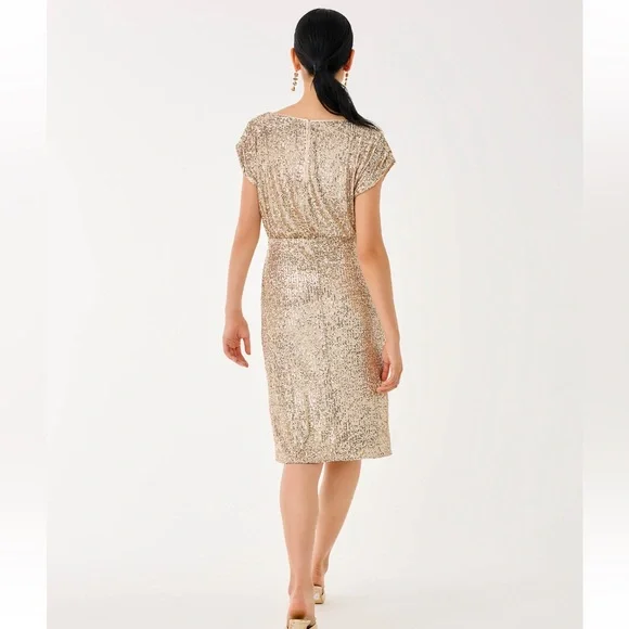 NWT Lilly Pulitzer aylin sequin midi dress - Picture 2 of 2